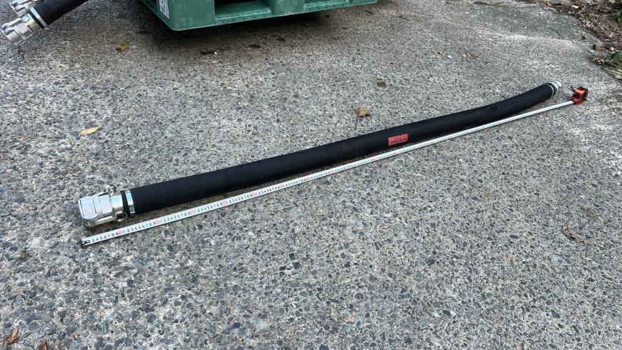 ウォーターホース 不明 写真10