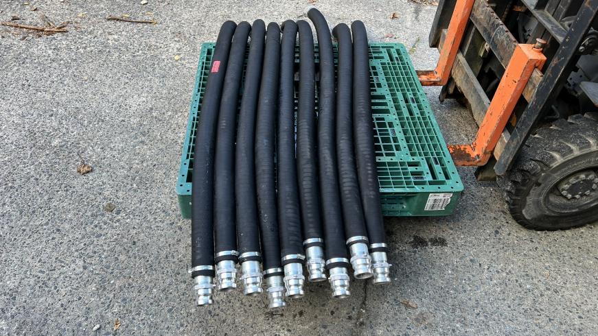 ウォーターホース 不明 写真９