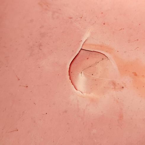 草刈機 CMX222 写真11