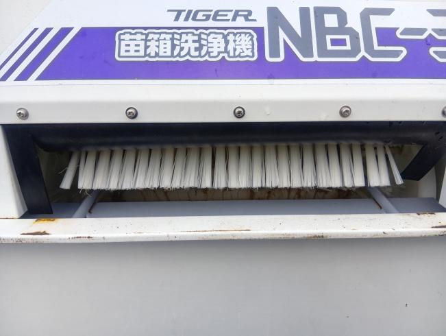 苗箱洗浄機 NBC-300　上越〇 写真５