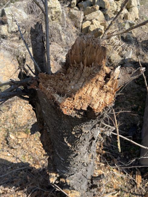 ユンボレンタル販売 ミニユンボ各種 写真５