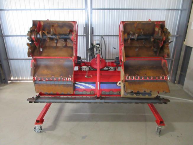 コバシ ハロー 写真