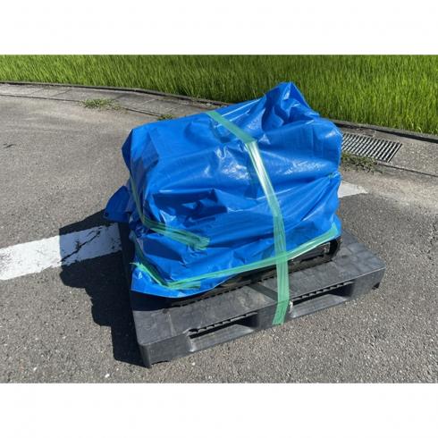 草刈機 RCSP530 写真８