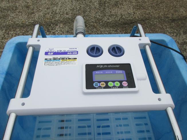 タイガーカワシマ 催芽機 写真